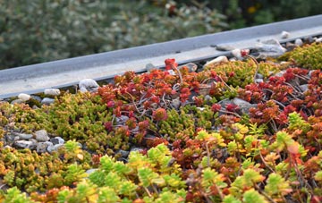 the cost of Galligill green roof installation